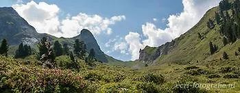 Lägenhet Appartments Am Bach - Riverside