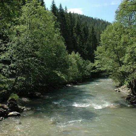Appartments Am Bach - Riverside Lejlighed