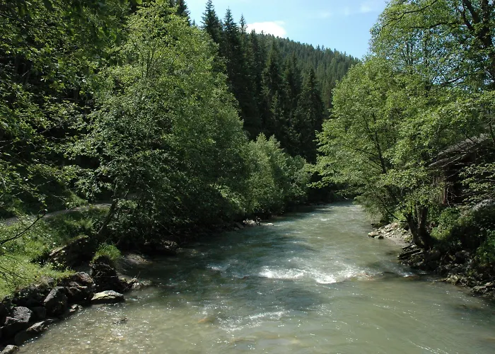 Appartments Am Bach - Riverside Апартаменты